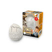Picture of MAGIC DINO EGG